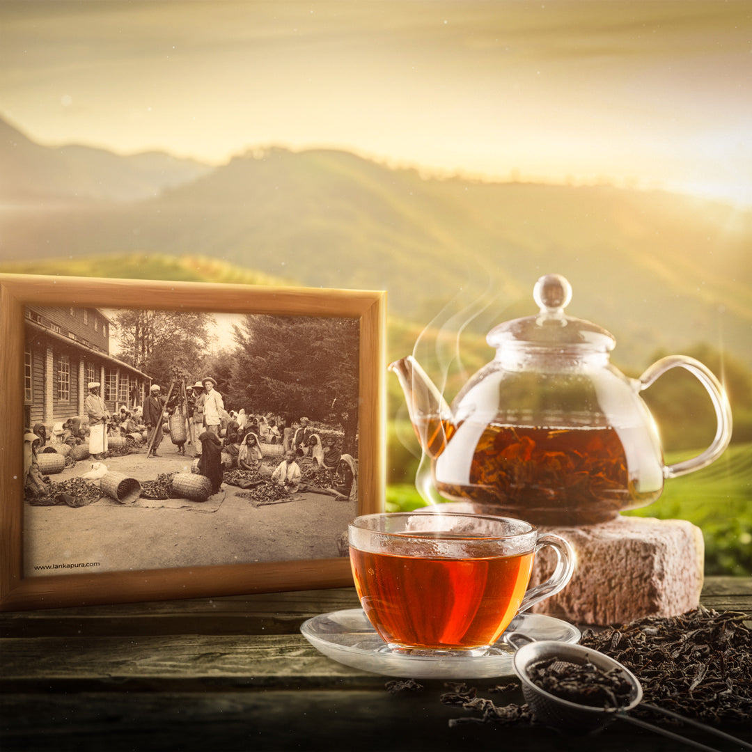 Legacy of Ceylon Tea: The Story of Hidden Hills